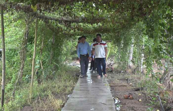Long Phú: Khảo sát mô hình nông nghiệp hiệu quả tại xã Tân Thạnh