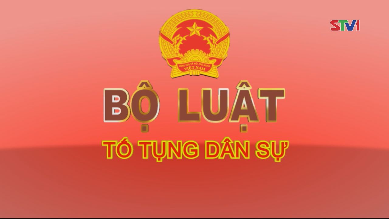Giới thiệu Pháp luật Việt Nam 19-02-2017