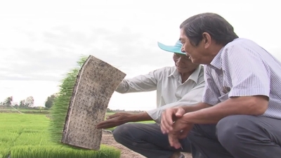 Hỗ trợ doanh nghiệp nhỏ và vừa 22-07-2015