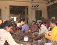Hỗ trợ doanh nghiệp nhỏ và vừa 12-11-2014