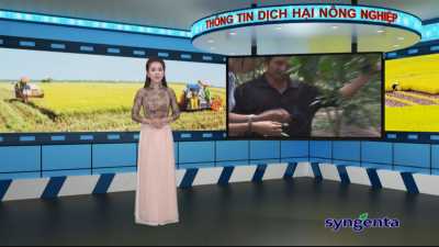 Thông tin dịch hại Nông nghiệp 27-04-2016