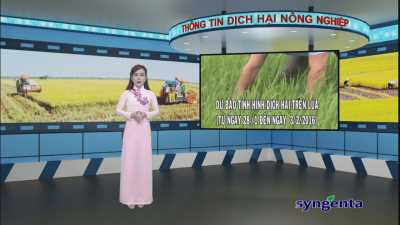 Thông tin dịch hại Nông nghiệp 27-01-2016