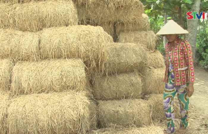 Bà con Khmer Sóc Trăng nỗ lực vươn lên thoát nghèo 