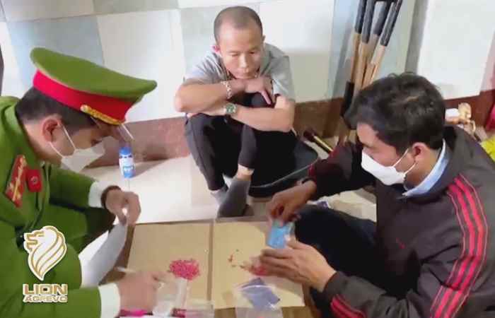  Bản tin STV NEWS (01-03-2022)