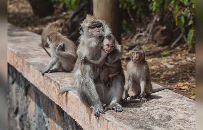 Bản tin STV NEWS (01-08-2024)