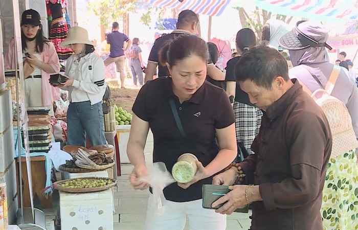 Bản tin STV NEWS (03-05-2025)