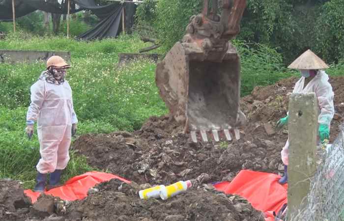 Bản tin STV NEWS (03-08-2024)