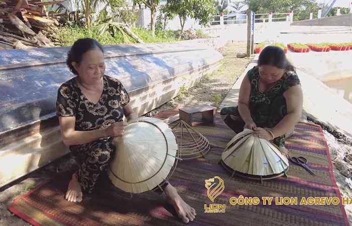 Bản tin STV NEWS (06-02-2022)