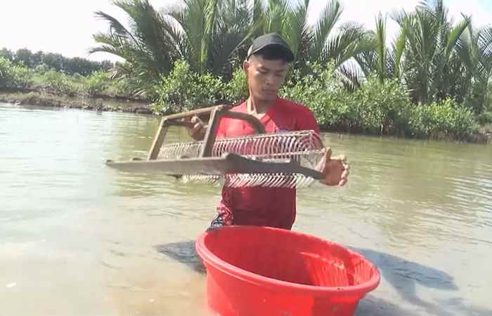 Bản tin STV NEWS (08-12-2021)