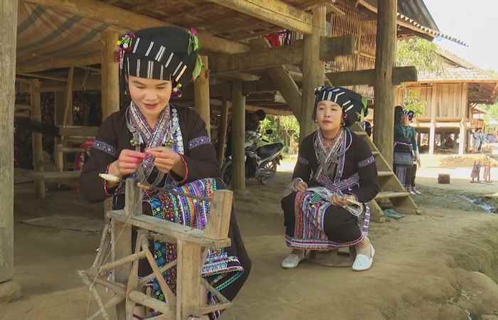 Bản tin STV NEWS (11-08-2024)