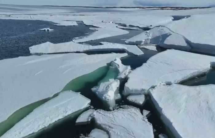 Bản tin STV NEWS (13-08-2024)