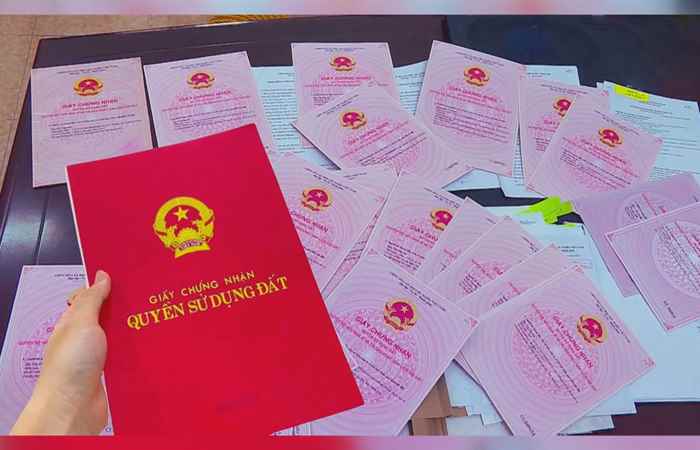 Bản tin STV NEWS (14-08-2024)