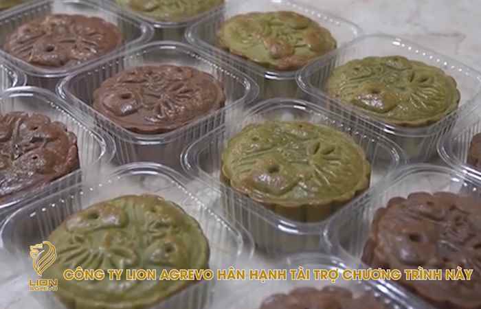 Bản tin STV News (17-08-2021)