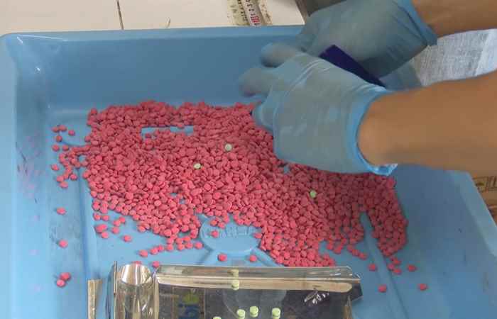  Bản tin STV NEWS (19-08-2024)