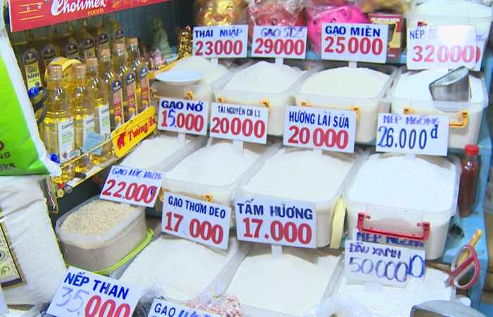 Bản tin STV NEWS (20-08-2023)