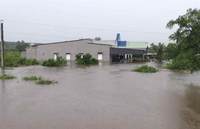 Bản tin STV NEWS (29-08-2024)