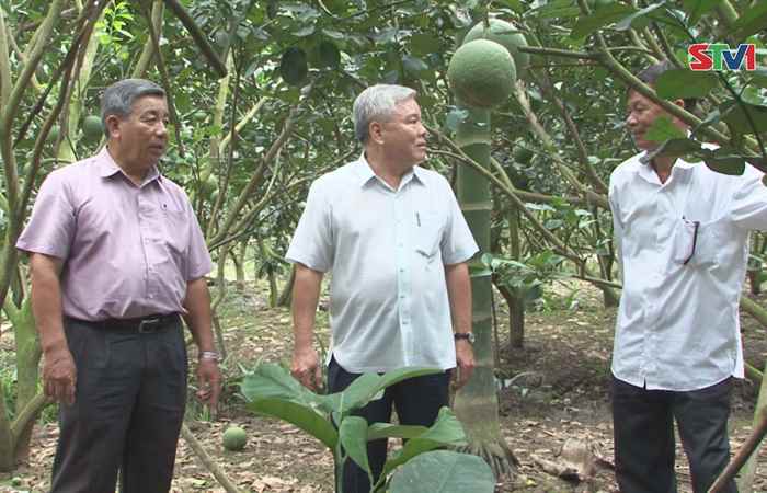 Bí thư Tỉnh ủy Sóc Trăng đi thăm các mô hình sản xuất tại huyện Kế Sách