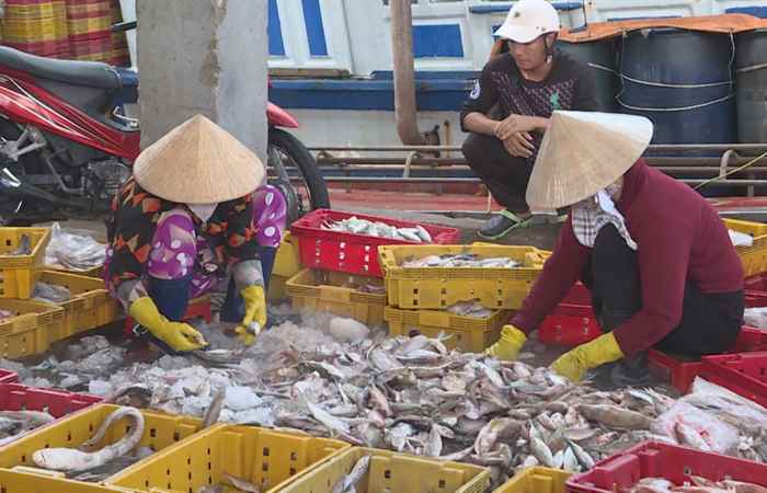 Chuyên mục: Biển đảo quê hương (04-05-2022)
 