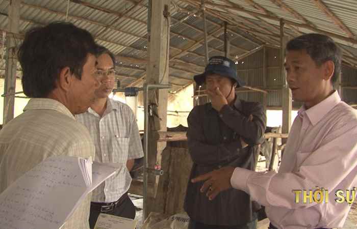 Chủ tịch HĐND tỉnh Sóc Trăng đến khảo sát một số hộ chăn nuôi bò tại Trần Đề