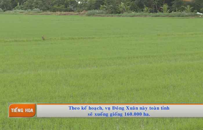 Chương trình tiếng Hoa (07-12-2020)