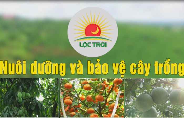 Chương trình tọa đàm 18-04-2019