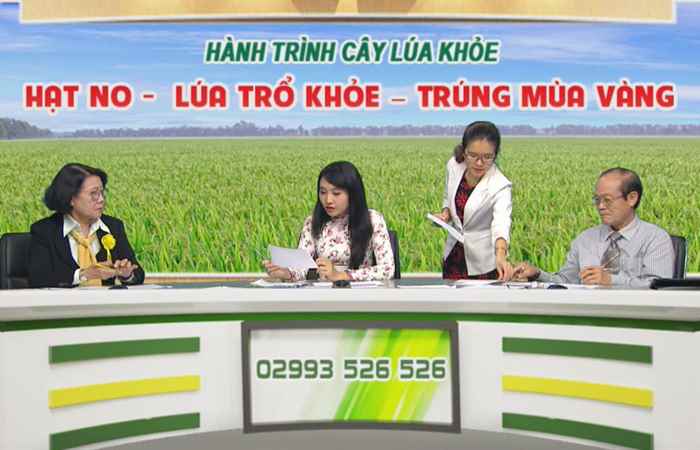 Chương trình tọa đàm Hạt no lúa trổ khỏe trúng mùa vàng 24-01-2019