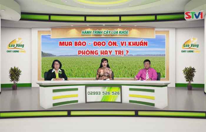 Chương trình tọa đàm Lúa Vàng 29-07-2018
