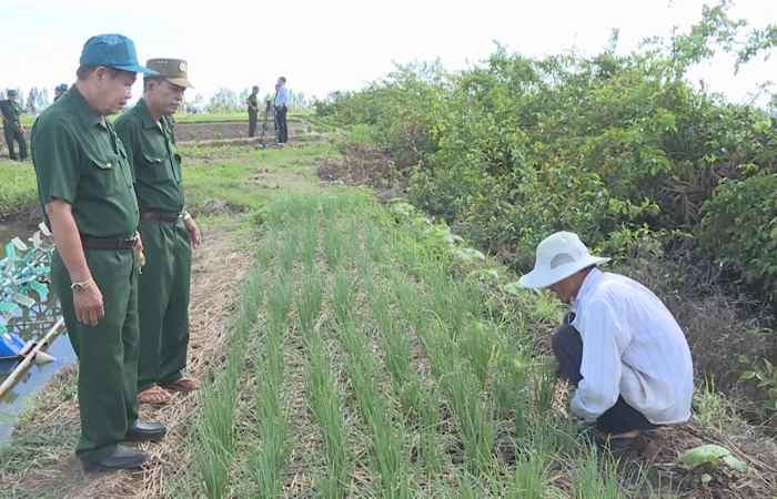 Cựu Chiến binh xã Gia Hoà 2 phát triển chăn nuôi bò