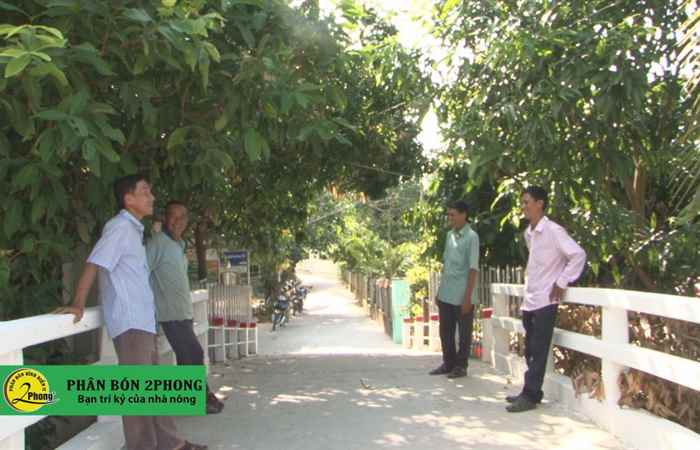  Đảng bộ xã Thạnh Thới An đẩy mạnh học tập và làm theo gương Bác (17-11-2019)
