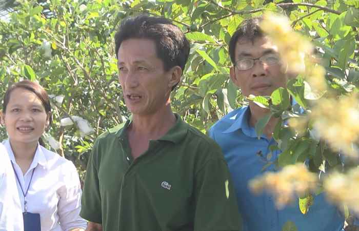 Diễn đàn cử tri (05-02-2020)