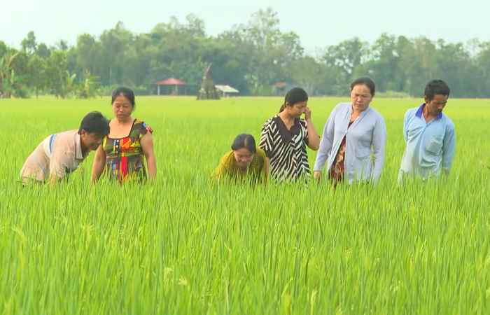 Đồng bào Khmer Sóc Trăng vươn lên mạnh mẽ từ chính sách hỗ trợ và khát vọng tự cường (09-06-2025)