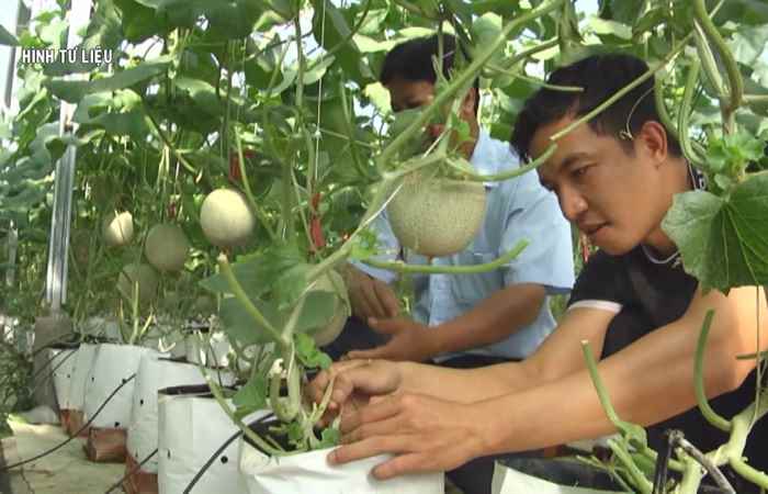 Hành trình khởi nghiệp (07-06-2021)
