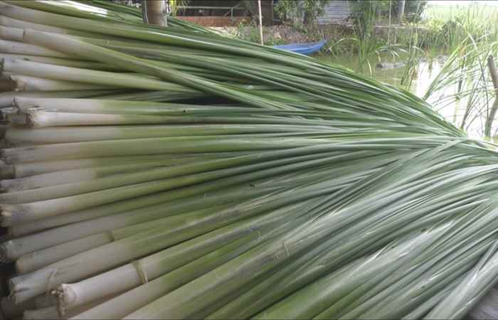Hội viên phụ nữ xã Hồ Đắc Kiện phát triển kinh tế gia đình