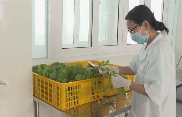 Khoa học và công nghệ phục vụ phát triển kinh tế - xã hội