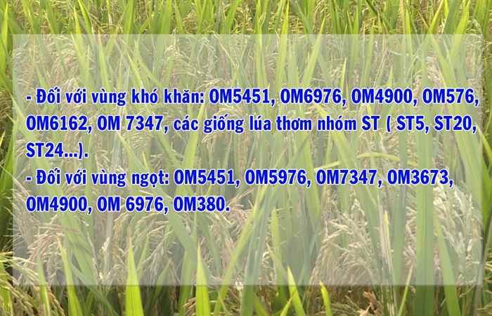 Khuyến nông 01-09-2020