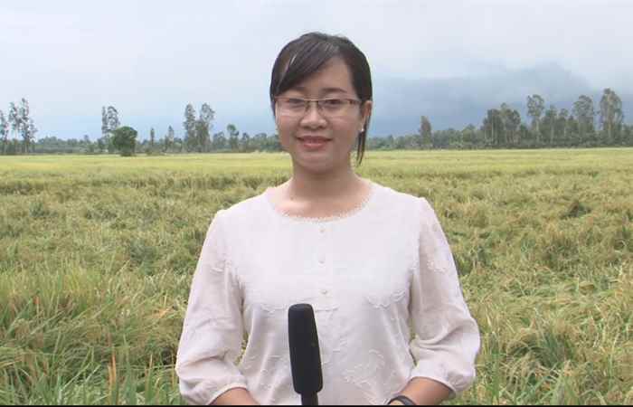 Khuyến nông 08-08-2017