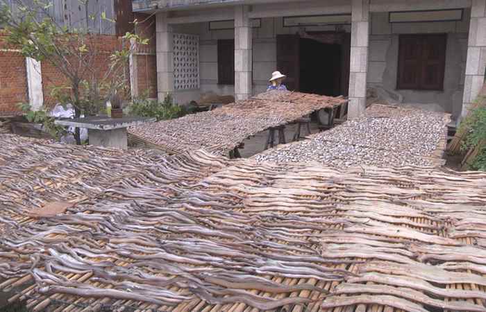 Làng khô Trần Đề tất bật đón Tết
