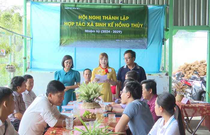 Mỹ Xuyên: Thành lập Hợp tác xã Sinh kế Hồng Thủy 