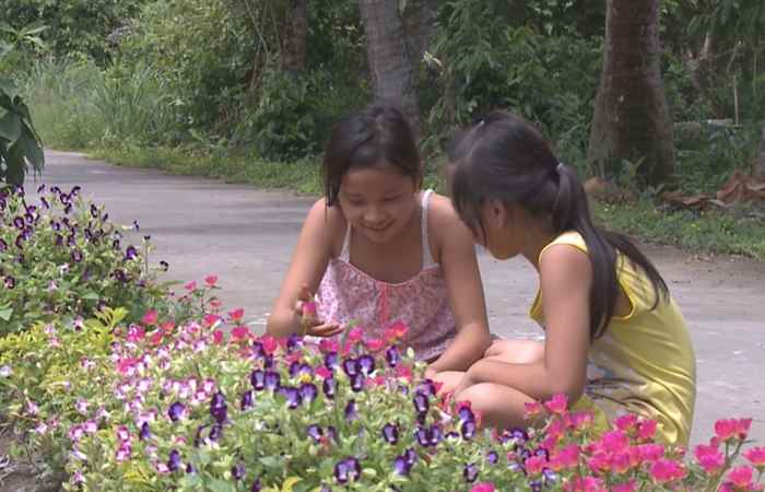 Nét Việt - Đường quê 17-05-2017