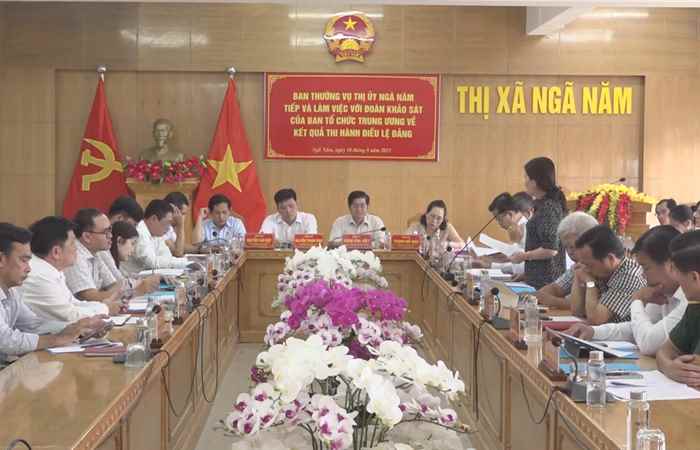 Ban Tổ chức Trung ương giám sát kết quả thi hành điều lệ Đảng tại Đảng bộ thị xã Ngã Năm