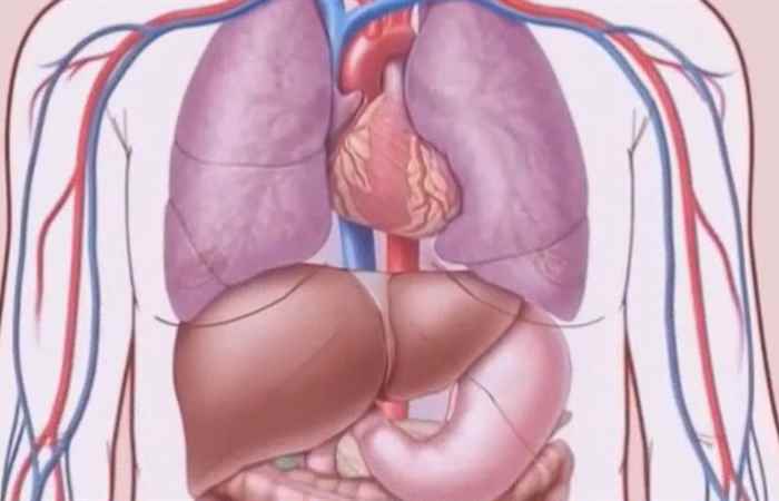 Nhịp cầu sức khỏe Bạn đã biết cách xử trí khi đau thắt ngực 02-11-2018