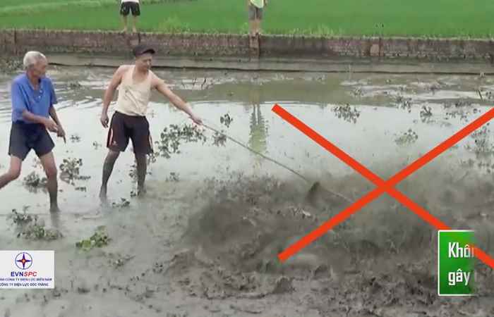 Phòng tránh tai nạn điện do vi phạm hành lang an toàn lưới điện cao áp (30-07-2022)