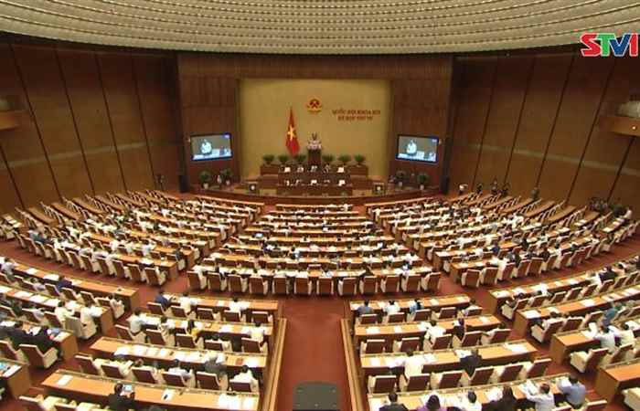 Quốc Hội thông qua Luật Bảo vệ và phát triển rừng (sửa đổi) và thảo luận 2 dự án Luật