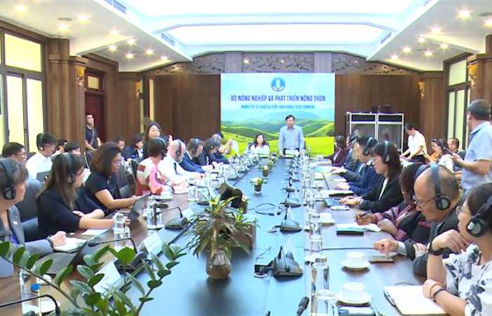Quốc tế chung tay hỗ trợ Việt Nam tái thiết sau thiên tai
