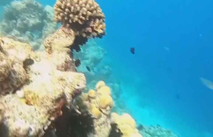 Sóc Trăng Ngày mới (02-10-2024)