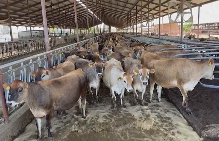 Sóc Trăng Ngày mới (03-07-2024)