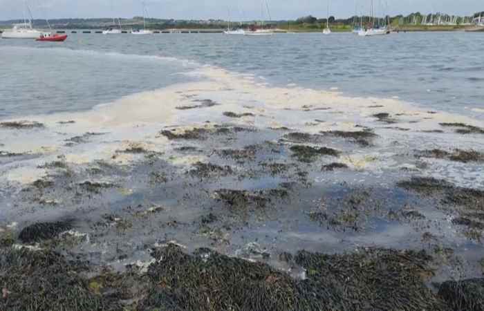 Sóc Trăng Ngày mới (10-06-2024)