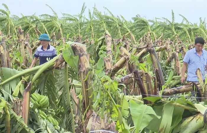 Sóc Trăng Ngày mới (11-09-2024)