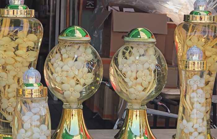 Sóc Trăng ngày mới (11-10-2024)