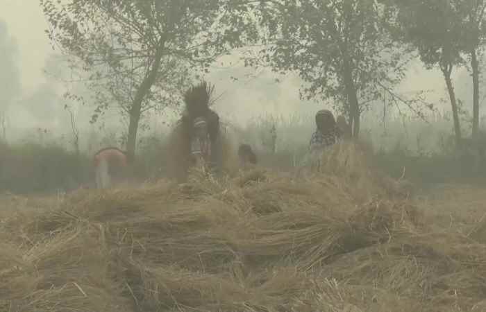 Sóc Trăng ngày mới (11-11-2024)